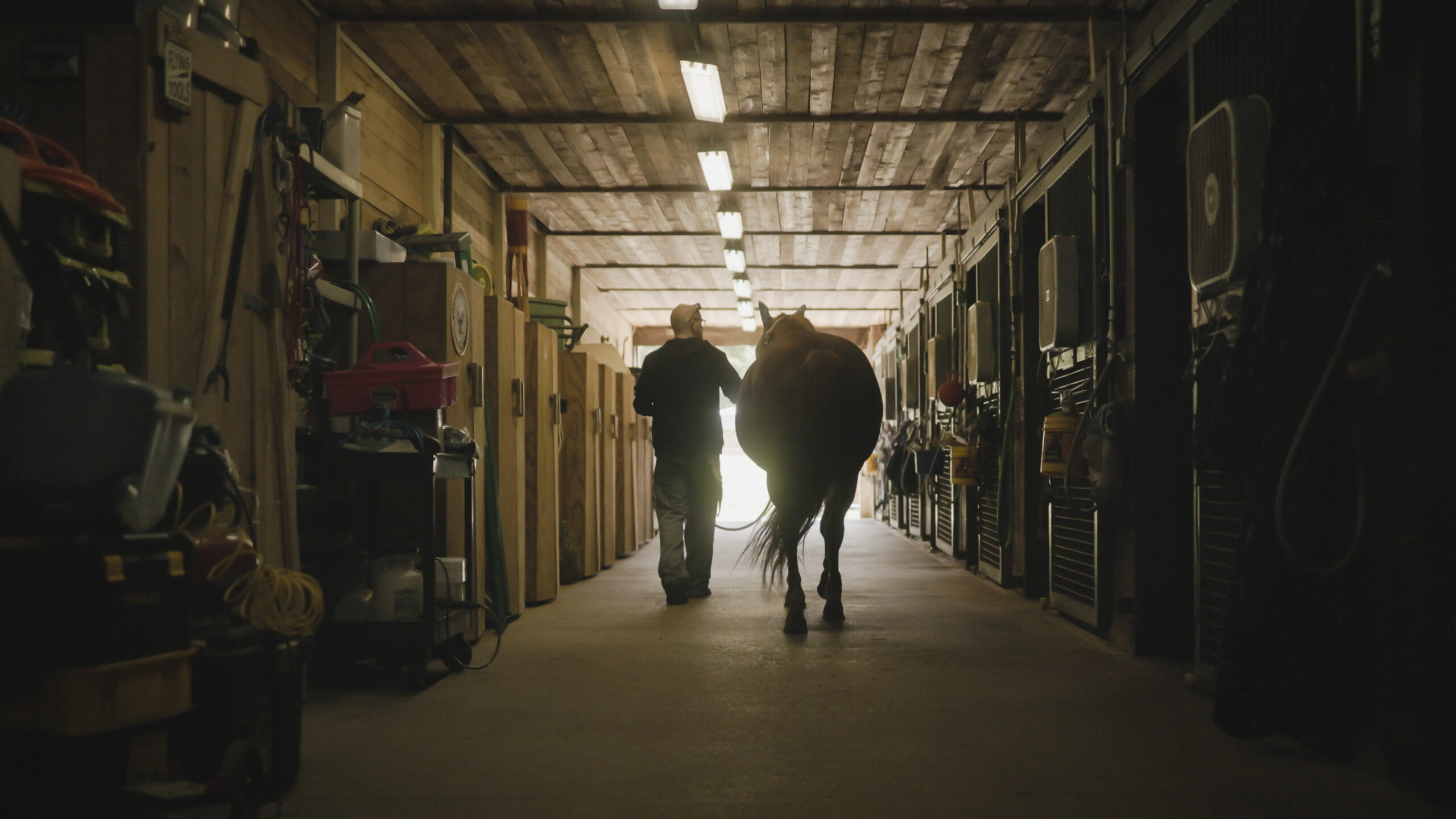 A veteran leading a wild horse down a sunlit barn aisle