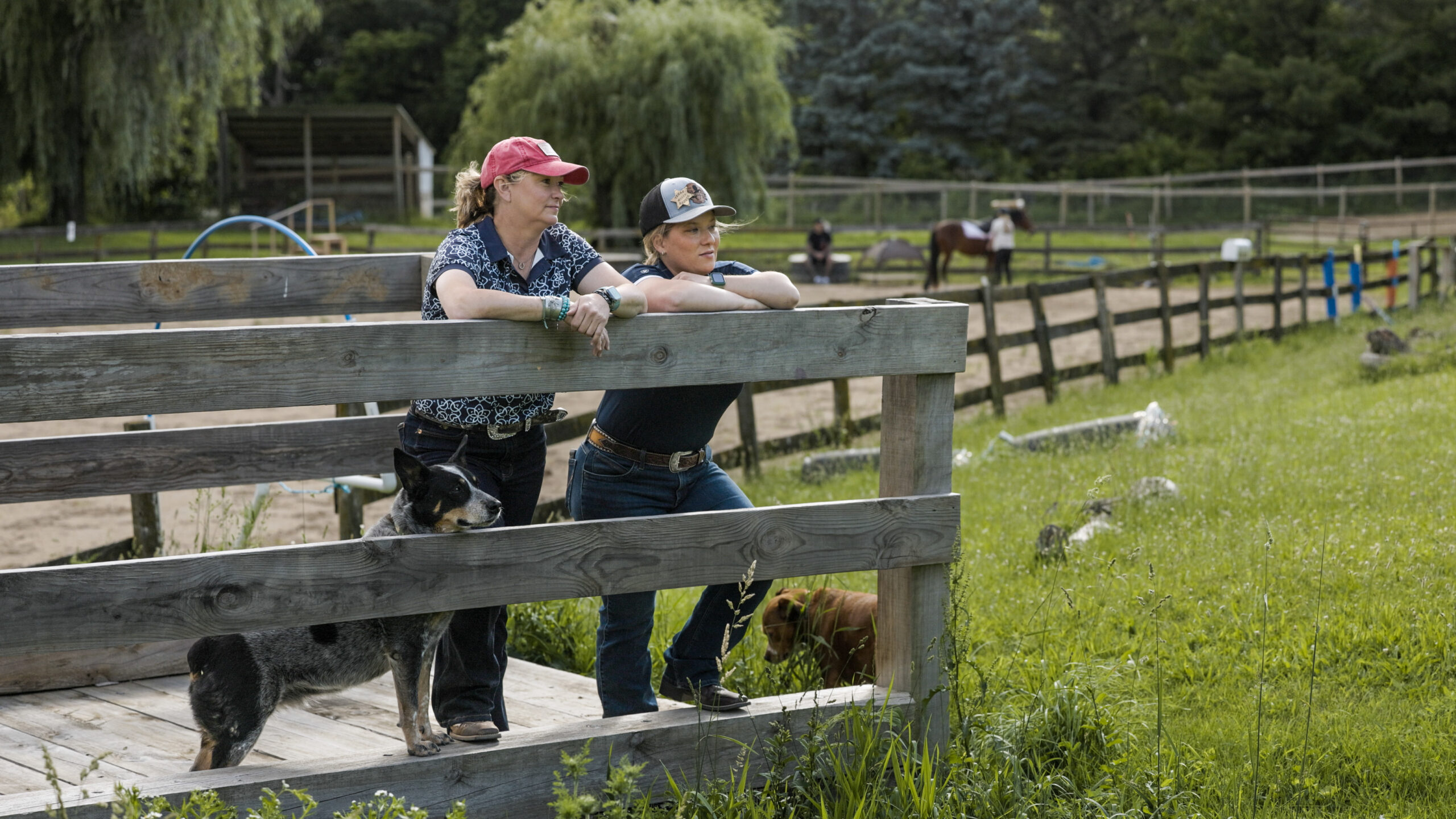 Patti, co-founder of Operation Wild Horse, at the arena fence
